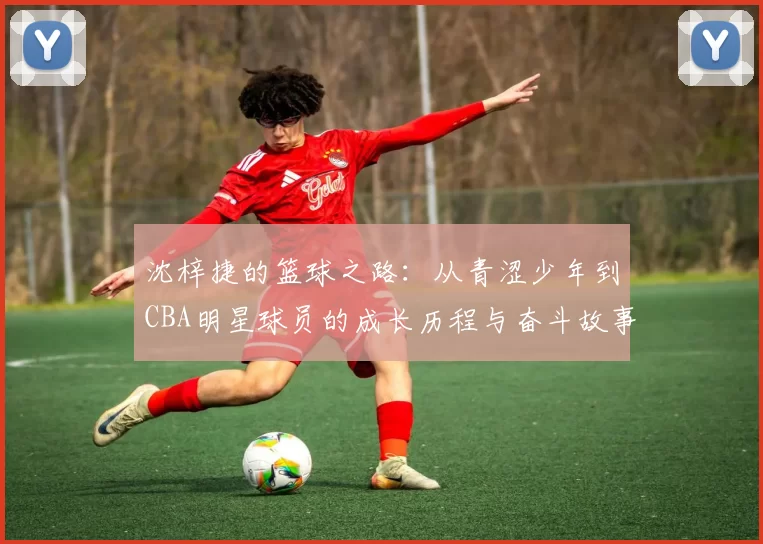 沈梓捷的篮球之路：从青涩少年到CBA明星球员的成长历程与奋斗故事