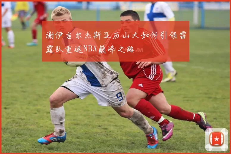 谢伊吉尔杰斯亚历山大如何引领雷霆队重返NBA巅峰之路