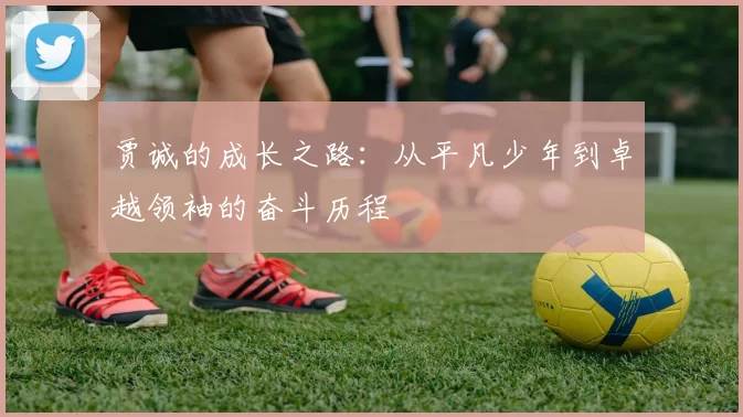 贾诚的成长之路：从平凡少年到卓越领袖的奋斗历程