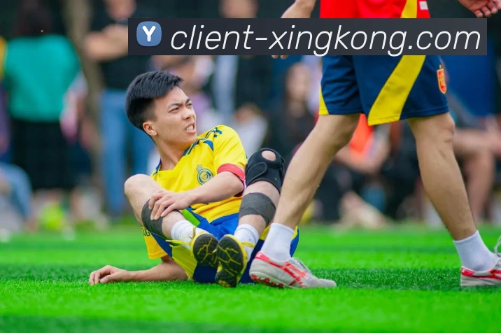 星空体育平台生态图